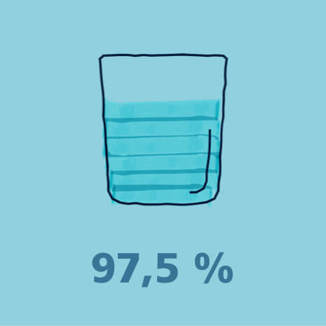 97,5 %