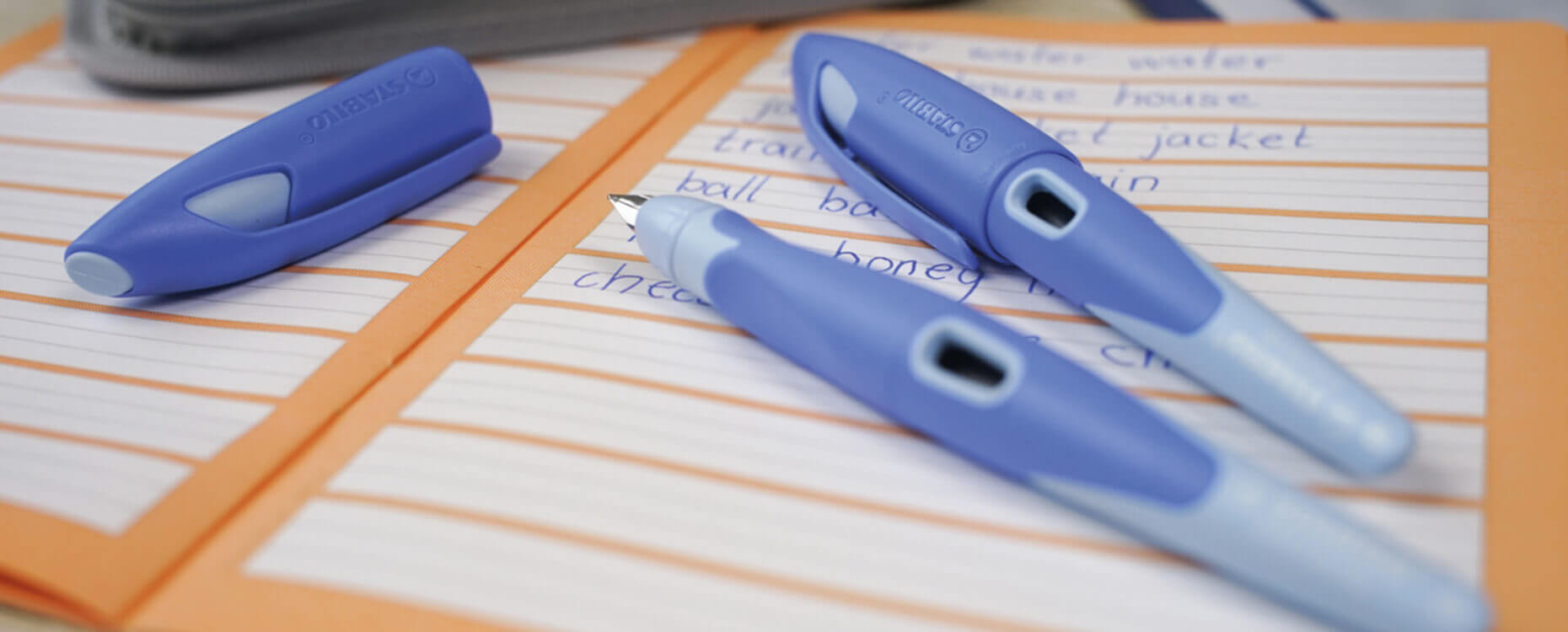 STABILO Easybirdy Penna stilografica ergonomica per mancini colore blu notte/azzurro con pennino A per principianti 
